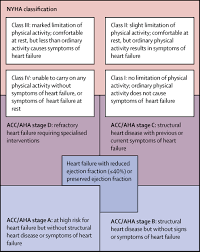 Endocarditis occurs when there is inflammation of the inner lining of the heart valves and chambers. Heart Failure Drug Treatment The Lancet