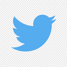 Starbucks coffee logo vector png. Silhouette Computer Icons Twitter Twitter Logo Monochrome Png Pngegg