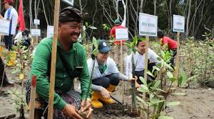 Yayasan outsourcing pt damarindo mandiri merupakan perusahaan jasa pengelola dan. Paint Company Pt Mowilex Helps Protect 65 000 Forested Hectares As Part Of Carbon Neutral Certification Renewal