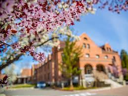 When you need flower delivery to sparks nv, amy's flowers is here for you. Communication M A Master Of Arts In Communication Studies Department Of Communication Studies University Of Nevada Reno