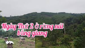 Tuyển việt nam bị loại nếu giành thêm 6 điểm, nhưng 5 điểm lại đi tiếp. Ngay Thá»© 2 Phong á»Ÿ Báº¯c Giang Ä'i Tham Quan VÆ°á»n Nha Co Gi Ä'áº¹p Ko Co Trai Cay Gi Ko Phonglinh Vlogs Youtube