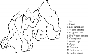 Harts & flowers proudly serves morrilton and the surrounding areas. Household Determinants Of Tree Planting On Farms In Rural Rwanda Springerlink