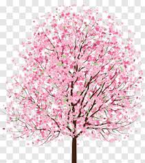 Vector card design with hand drawn blossoming trees illustration. Flowers Tree Simple Cherry Blossom Tree Drawing Png Download 947x1068 6745451 Png Image Pngjoy