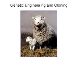 Heredity heredity is the transmission of genetic characteristics from ancestor to descendant through the genes. Genetic Engineering And Cloning Ppt Download