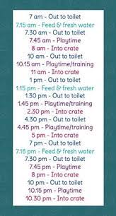 Put in mind though that when creating a puppy crate training schedule that every puppy and every owner is different. 10 Best Puppy Feeding Schedule Ideas Puppy Feeding Schedule Puppies Puppy Training