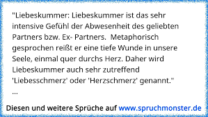 Liebeskummer Ist So Eine Art Geistiger Emotionaler Totalschaden Ã Spruchmonster De