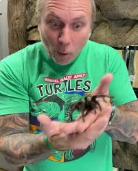 Meet Black Beauty Our Brazilian Black Tarantula! With @snakebytestv 🕷  #reels