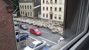 Kinder sollten stets eine zur hand haben. 35 Witten Ideen Ruhrgebiet Ruhr Kohlenpott