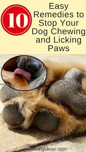 Pin On Our Pets Group Board