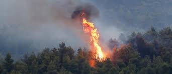 Φωτιά που τέθηκε γρήγορα υπό έλεγχο, ξέσπασε το μεσημέρι του σαββάτου στην αρχαία κόρινθο. Arxaia Korin8os Ant1 News