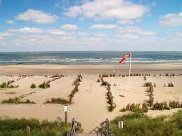 You'll also find al kinds of fauna and flora in nature reserve 'de ijzermonding', in the dunes en the hinterland. The Belgian Seaside Top Ways To Enjoy Belgium S Coast