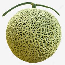 ✓ gratis untuk komersial ✓ tidak perlu kredit ✓ bebas hak cipta. Real Tropical Fruit Melon Melon Fruit Real Melon Png Transparent Clipart Image And Psd File For Free Download
