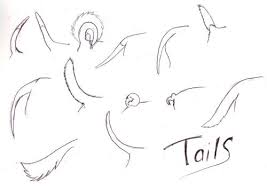 Hope It Helps Someone Art C Yoko Sato Canine Drawing Animal Tails Art Poses