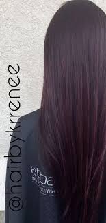 Specialize for white hair early people. Dark Hair With Purple Tint Hair Hair Cabelo Longo Ideias De Cabelo