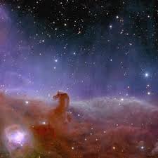 Image result for Searsia nebulosa