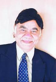 Contemporary Authors New Revision Series: A Bio-Bibliographical Guide to  Current Writers in Fiction, General Non-Fiction, Poetry, Journalism, Drama,  ... (Contemporary Authors New Revision, 183): Fuller, Amy Elisabeth:  9781414419275: Amazon.com: Books