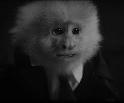 Coming Attractions: January 19 through February 3 -- What Will Light Your  Fire