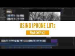 Adobe premiere pro is one of the most popular video editing software products on the market. Should You Rush To Get Adobe Premiere Rush Youtube