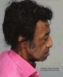 NURTUREart 2010/11 Yearbook by NURTUREart