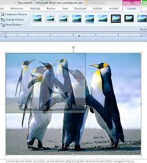 How To Add A Picture To A Header In Word 2010 Solve Your Tech
