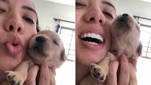 Life of a 3 day old puppy: Brazilian Dog Owner Teaches Golden Retriever Pup How To Howl Daily Mail Online