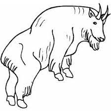 Maybe you would like to learn more about one of these? Mountain Goat Coloring Page