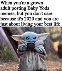 Pin By Victoria On Protect Baby Yoda In 2020 Yoda Meme Yoda Star Wars Memes