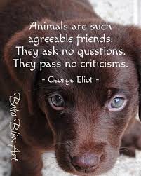 George Eliot Quote Animals Are Such Agreeable Friends They Ask No Questions They Pass No Criticisms Quote Wall Puppy Quotes Dog Quotes Animal Lover Quotes