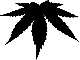 061 322 49 49 www.aefu.ch, info@aefu.ch folgende adresse à 5 zeilen soll eingedruckt dr. Svg Marihuana Raucher Missbrauch Verboten Kostenloses Svg Bild Symbol Svg Silh