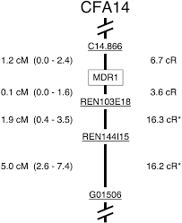 Breed Distribution And History Of Canine Mdr1 1 A