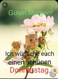 Einen wunderschönen und entspannten donnerstag wünsche ich dir! Pin Von Anna Kvasnova Auf Pozdravy Guten Morgen Donnerstag Donnerstagsgrusse Guten Morgen Montag