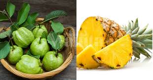 Saja buat kajian untuk merasa buah nenas batu @ nenas kecil sebb ramai yg cakap orang xmakan nenas ni sekadar untuk. Banyak Sebab Kenapa Disarankan Makan Nanas Termasuk Untuk Kecantikan Mingguan Wanita