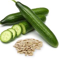 Fill a 7.5cm (3in) pot with seed compost and. 20 British Cucumber Seeds Welldales
