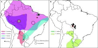 The eros data center is a type 1 esip, as are all of nasa's distributed active archive centers. Diversity And Distribution Of Hantaviruses In South America Journal Of Virology
