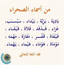 Pin By Abditch219 On اللغة العربية Arabic Calligraphy Arabic Math