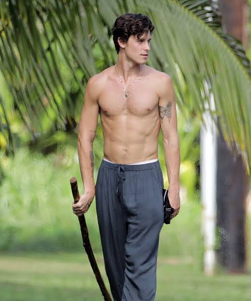 Chapter 8: Shawn Mendes' by MC101 - Gay Spiral Stories