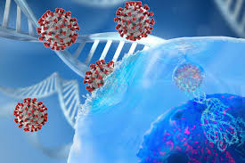 كشف باحثون في جامعتي ماساتشوستس وكاليفورنيا الأميركيتين، عن خطورة العادات الخاطئة المرتبطة بارتداء أو عدم ارتداء الكمامات للوقاية من فيروس كورونا المستجد. Ø¯Ø±Ø§Ø³Ø© Ø§ÙÙÙØ§Ø¹Ø© Ø¶Ø¯ ÙÙØ±ÙÙØ§ ÙÙÙÙ Ø£Ù ØªØ³ØªÙØ± 6 Ø£Ø´ÙØ± ÙÙØ· Alghad
