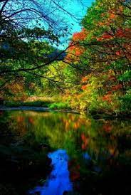 10 Picture Perfect Ideas Picture Perfect Cool Photos Pictures