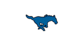 Dickinson Girls JV Volleyball @ Friendswood