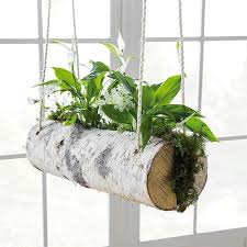 Pin Von Boris Kra Auf Badezimmer In 2020 Bepflanzter Holzblock Birkenstamm Deko Pflanzen