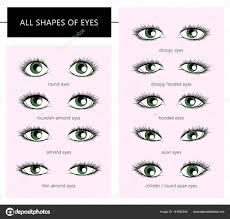 Download Shapes Of Eyes Stock Illustration Vickie