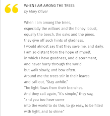 When I Am Among The Trees Mary Oliver Poems Poetry