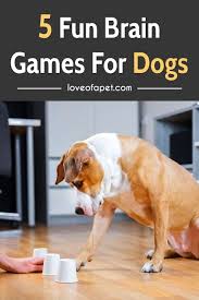 5 Fun Brain Games For Dogs Love Of A Pet In 2020 Dog Play Ideas Brain Games For Dogs Fun Brain