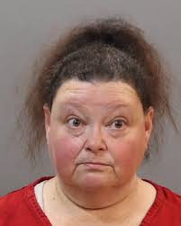 Knox County Arrest: Baehr, Regene Renee Charged with Theft, Exploiting an  Adult, and Forgery