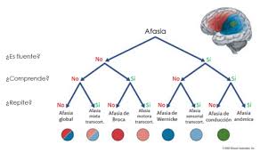 We did not find results for: Cuadro Resumen De Las Afasias Futuro Fonoaudiologo