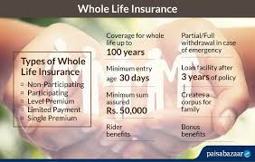 Savings keep your money where it will earn a guaranteed return and be available for easy access. Whole Life Insurance Check Compare Whole Life Insurance Online