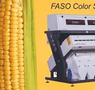 Automatic Corn Color Sorter Machine MX_5C, Single Phase, Capacity: 5  Ton/hour