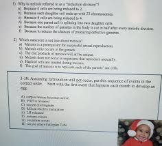 Check spelling or type a new query. 1 Why Is Meiosis Referred To As A Reduction Chegg Com