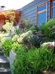 Hollywood Hills Residence Fiore Landscape Design Succulent Landscape Design Landscape Design Backyard Landscaping Designs