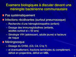 Qui m'aime, aime mon chien. Ppt Recherche De Facteurs Favorisants La Survenue De Meningites Bacteriennes Communautaires Nouveau Ne Exclu Powerpoint Presentation Id 285273